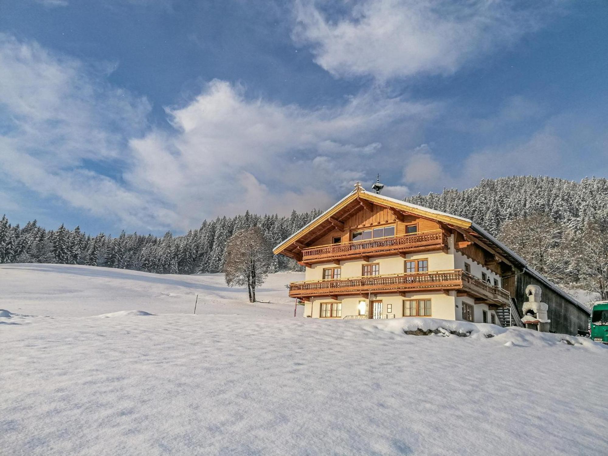 Apartament Flicklhof Xl Hopfgarten im Brixental Zewnętrze zdjęcie