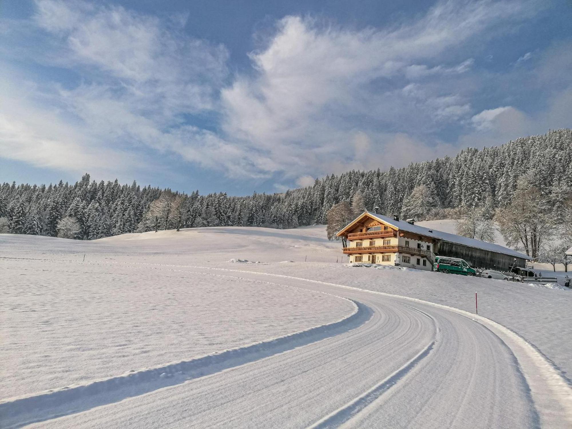 Apartament Flicklhof Xl Hopfgarten im Brixental Zewnętrze zdjęcie