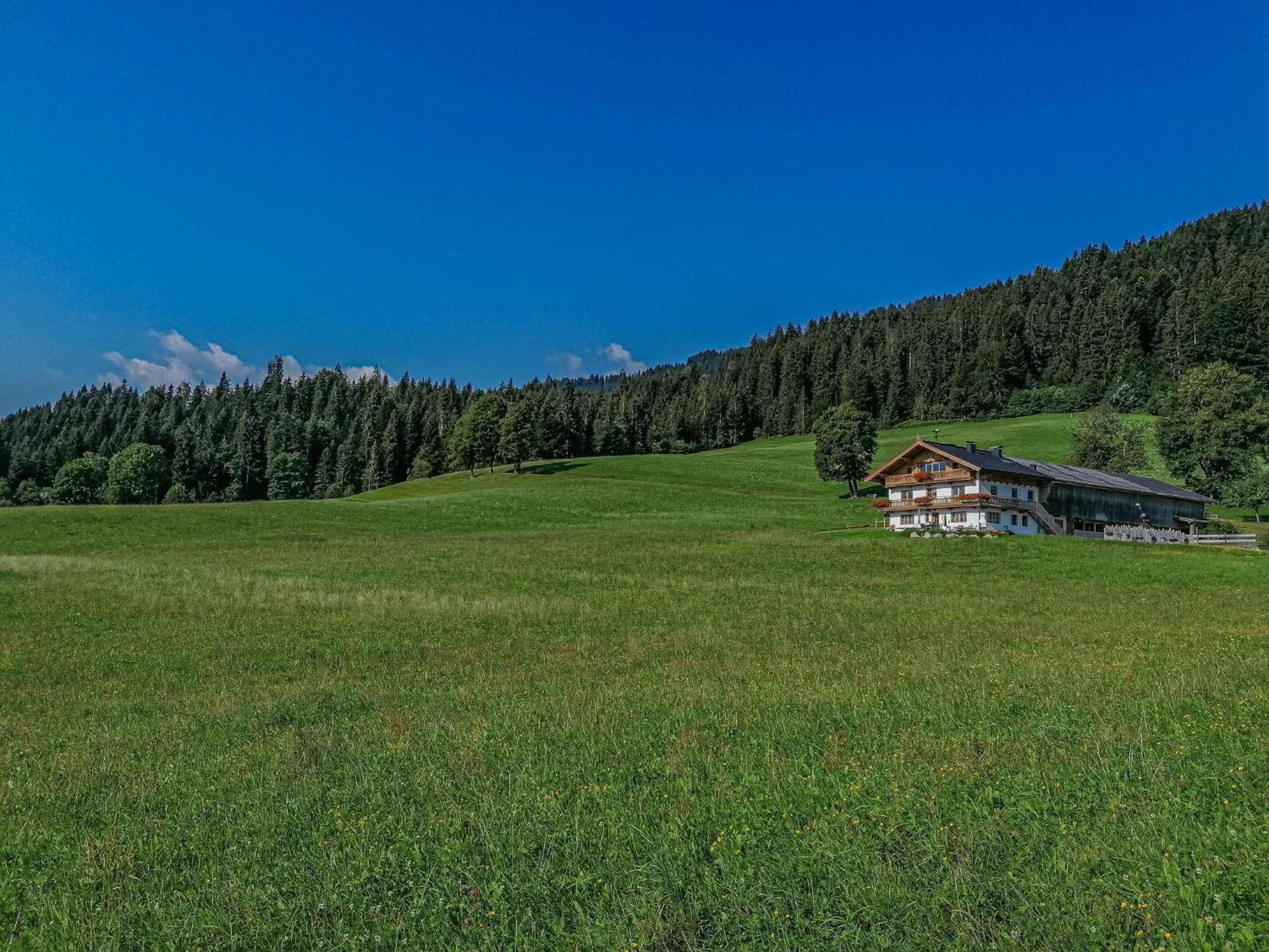 Apartament Flicklhof Xl Hopfgarten im Brixental Zewnętrze zdjęcie