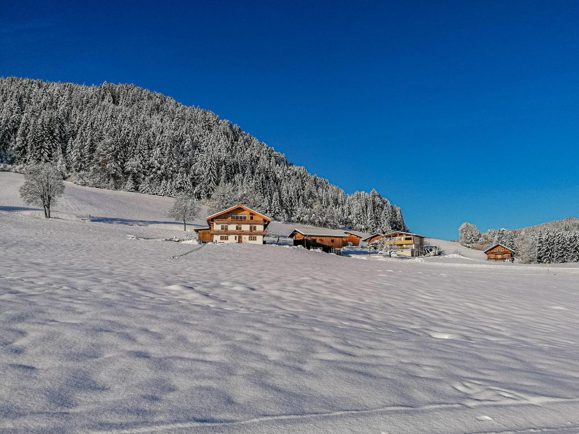 Apartament Flicklhof Xl Hopfgarten im Brixental Zewnętrze zdjęcie