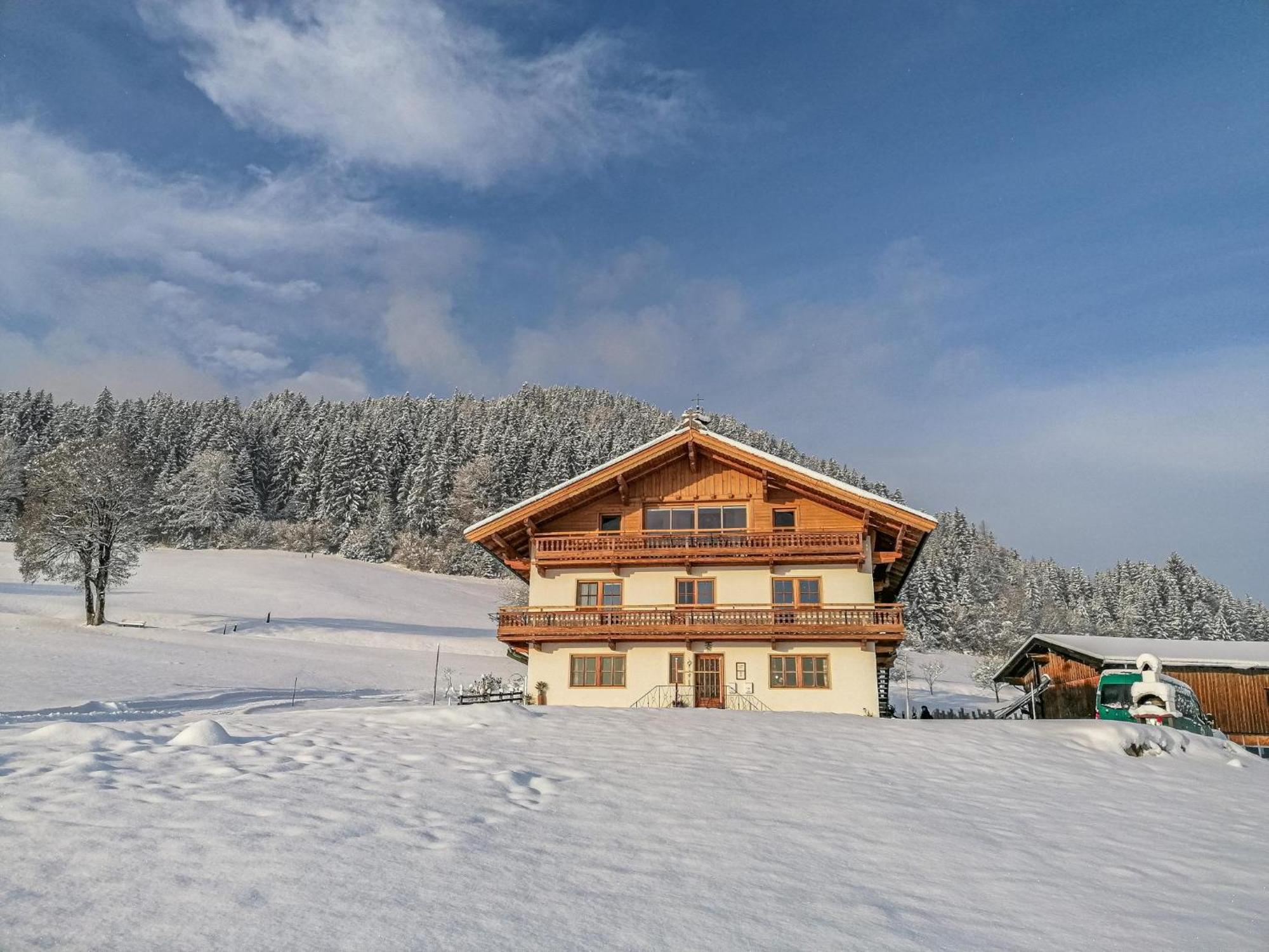 Apartament Flicklhof Xl Hopfgarten im Brixental Zewnętrze zdjęcie