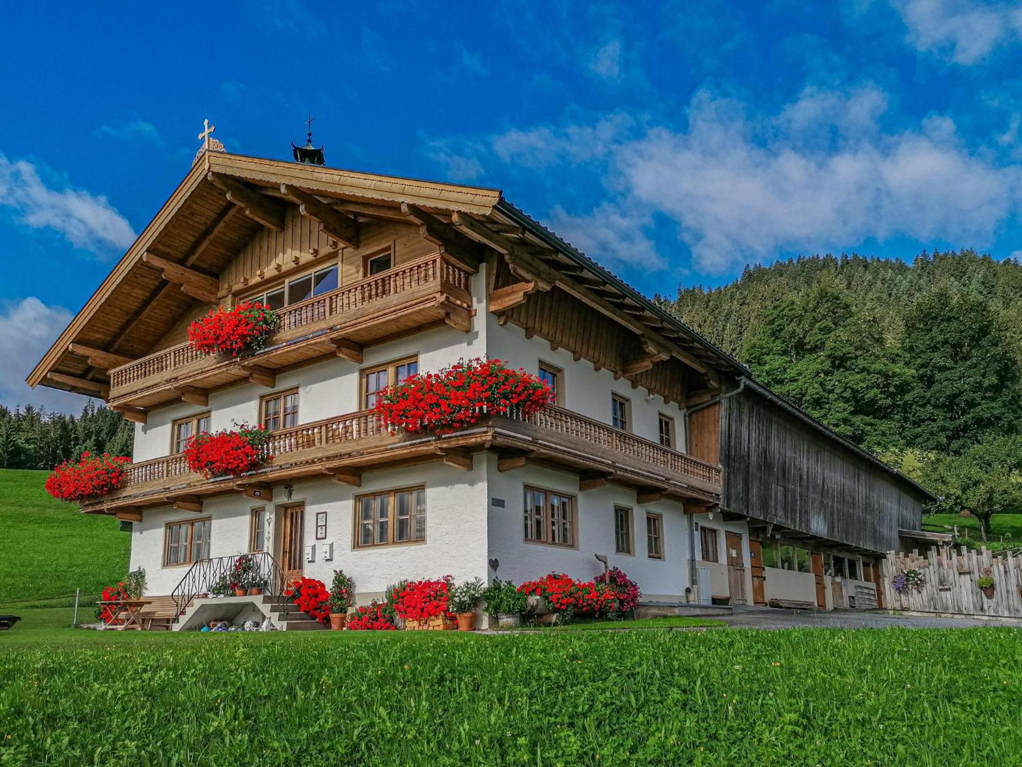 Apartament Flicklhof Xl Hopfgarten im Brixental Zewnętrze zdjęcie